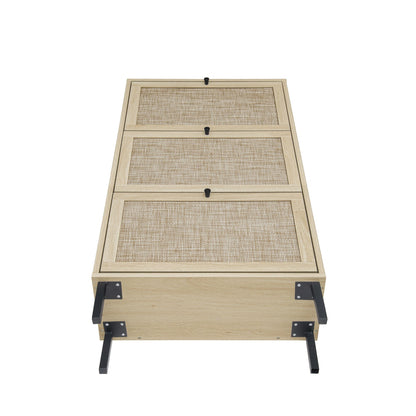 Modern Rattan 3 Door Shoe Rack Cabinet for Entryway