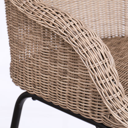 Ladd Outdoor Metal Wicker Barstool Set of 2