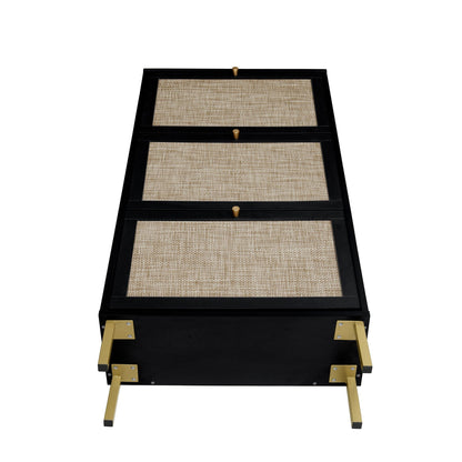 Modern Rattan 3 Door Shoe Rack Cabinet for Entryway